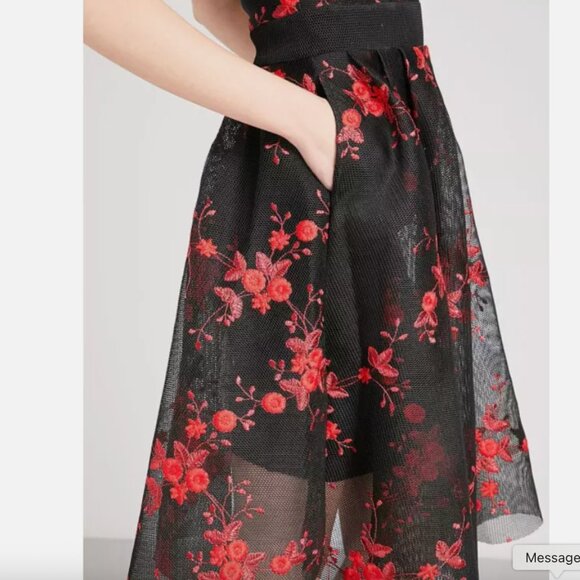 NWT - Maje Rudio Embroidered Tulle Floral Mesh Fit & Flare Dress - Sz 1 - Picture 3 of 8